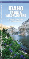 Idaho Trees & Wildflowers: A Folding Pocket Guide to Familiar Species 1583554076 Book Cover
