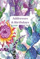 Addresses & Birthdays : Watercolor Pastel Cacti 1793997233 Book Cover