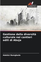 Gestione della diversità culturale nei cantieri edili di Abuja (Italian Edition) 6208555906 Book Cover