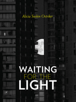 Waiting for the Light (Pitt Poetry Series) 082296452X Book Cover