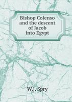 Bishop Colenso and the Descent of Jacob Into Egypt 1346811512 Book Cover