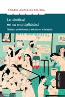 Lo sindical en su multiplicidad: Trabajo, profesiones y afectos en el hospital 841713316X Book Cover