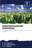 ????????????? ???????: ??????? ??????? (triticum aestivum l.) ?? ????????? ???????? (Russian Edition) 6207603591 Book Cover