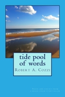 Tide Pool of Words: Prose and poetry from a beach chair storyteller 1490966323 Book Cover