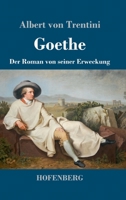 Goethe (Gro�druck) 3743732211 Book Cover