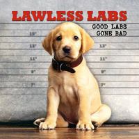Lawless Labs: Good Labs Gone Bad 1595438424 Book Cover