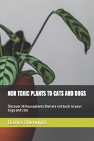 NON TOXIC PLANTS TO CATS AND DOGS: Discover 36 houseplants that are not toxic to your dogs and cats B0CJ41XFTH Book Cover