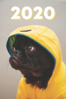 2020 Hunde Kalender: S��er Mops Wochenplaner mit Monats- und Jahresansicht - 100 Seiten - Januar bis Dezember Terminplaner 1706190247 Book Cover