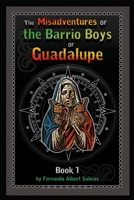 The Misadventures of the Barrio Boys of Guadalupe 1304015815 Book Cover