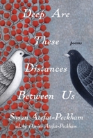 Deep Are These Distances Between Us 1933880961 Book Cover