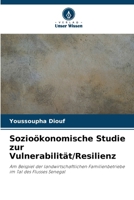 Sozioökonomische Studie zur Vulnerabilität/Resilienz (German Edition) 620988427X Book Cover