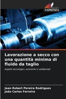 Lavorazione a secco con una quantità minima di fluido da taglio: Aspetti tecnologici, economici e ambientali (Italian Edition) B0CJSXLMV7 Book Cover