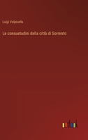 Le consuetudini della città di Sorrento (Italian Edition) 3385089581 Book Cover