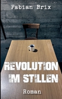 Revolution im Stillen 375431212X Book Cover