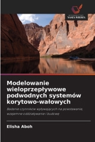 Modelowanie wieloprzeplywowe podwodnych systemów korytowo-walowych (Polish Edition) 663028271X Book Cover