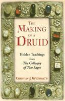 The Making of a Druid: Hidden Teachings from the Colloquy of Two Sages 0892818743 Book Cover