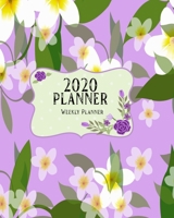 2020 Planner: Weekly and Monthly Planner Calendar Jan 1, 2020 to Dec 31, 2020: Monthly Goals Sheet 1654871443 Book Cover
