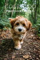 Cockapoo Photo Collection: Beautiful Full-Page Pictures of Cockapoos and Puppies for All Ages (Simple Photo Books). B0GG2CK9DF Book Cover