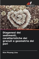 Diagenesi dei sedimenti, caratteristiche dei granuli e geometria dei pori (Italian Edition) 6209872921 Book Cover