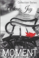 In the Moment: Personal Stories of Meeting God in Every Moment 1796695858 Book Cover