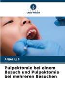 Pulpektomie bei einem Besuch und Pulpektomie bei mehreren Besuchen 6209095615 Book Cover