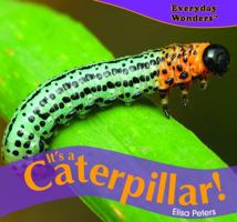 Its a Caterpillar! (Everyday Wonders) 140424459X Book Cover