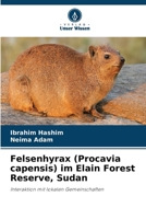 Felsenhyrax (Procavia capensis) im Elain Forest Reserve, Sudan 6207342003 Book Cover