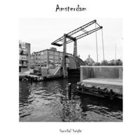 Amsterdam 1471633365 Book Cover