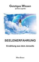 Seelenerfahrung: Erzählung aus dem Jenseits 369572790X Book Cover