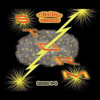 Storm: Books 1-4 1438994125 Book Cover