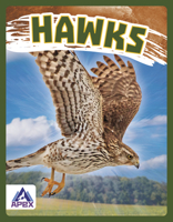 Hawks 1637381441 Book Cover