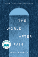 The World After Rain: Anne's Poem 1593768192 Book Cover