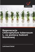 Regeneracja Chlorophytum tuberosum L. za pomoca hodowli tkankowej (Polish Edition) 620986807X Book Cover