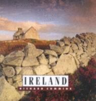 Ireland (Lets Investigate) 1583410325 Book Cover