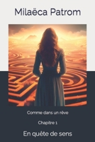 Comme dans un rêve: Chapitre 1 En quête de sens (French Edition) 2959104706 Book Cover