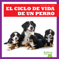 El Ciclo de Vida de Un Perro (a Dog's Life Cycle) (Ciclos de Vida (Life Cycles)) B09TYM7YDB Book Cover