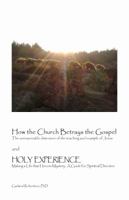 How the Church Betrays the Gospel: The unreasonable dimension of the teaching and example of Jesus 097288582X Book Cover