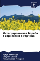 Интегрированная борьба & 6207800028 Book Cover