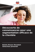 Découverte de connaissances pour une segmentation efficace de la clientèle (French Edition) 6208366291 Book Cover