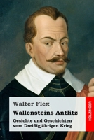 Wallensteins Antlitz 3743733226 Book Cover