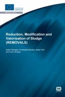 Reduction, Modification and Valorisation of Sludge 184339345X Book Cover