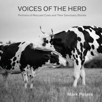 Voices of the Herd: Portraits of Rescued Cows and Their Sanctuary Stories 159056751X Book Cover