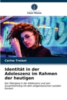 Identität in der Adoleszenz im Rahmen der heutigen 6203162787 Book Cover