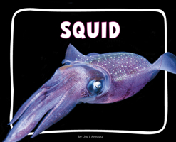 Squid (Ocean Animals) B0GHQ6Q5H4 Book Cover