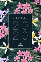 Agendador 2020 - Meu Calend�rio, Planner, Agenda e Diaria 2020 para minha organiza��o 0464308097 Book Cover