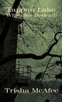 Tappan Lake: What Lies Beneath B0GL2FH352 Book Cover