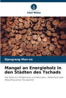 Mangel an Energieholz in den Städten des Tschads: Die Fälle von N'Djamena und Moundou. Seltenheit oder Misserfolg einer Forstpolitik 6205998718 Book Cover