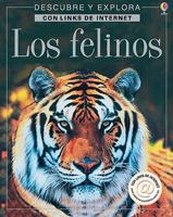Los Felinos / Big Cats: Internet Linked (Descubre Y Explora) 0746050704 Book Cover