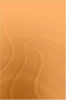 City Life in Japan 1873410824 Book Cover