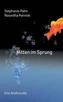 Mitten im Sprung: Eine Briefnovelle 375049973X Book Cover